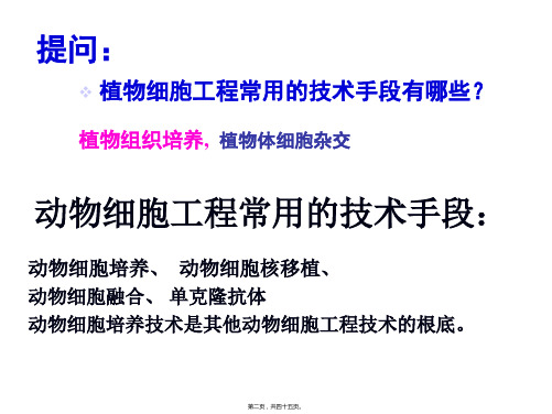 动物细胞工程常用的技术手段