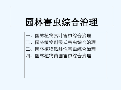 园林昆虫-食叶害虫 PPT