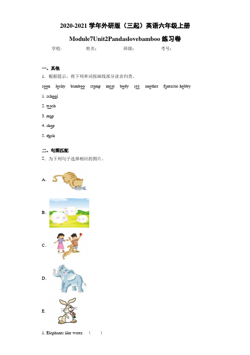外研版(三起)英语六年级上册Module7Unit2Pandaslo