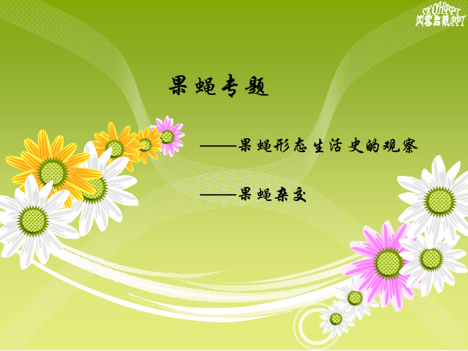 实验六——实验十 果蝇专题