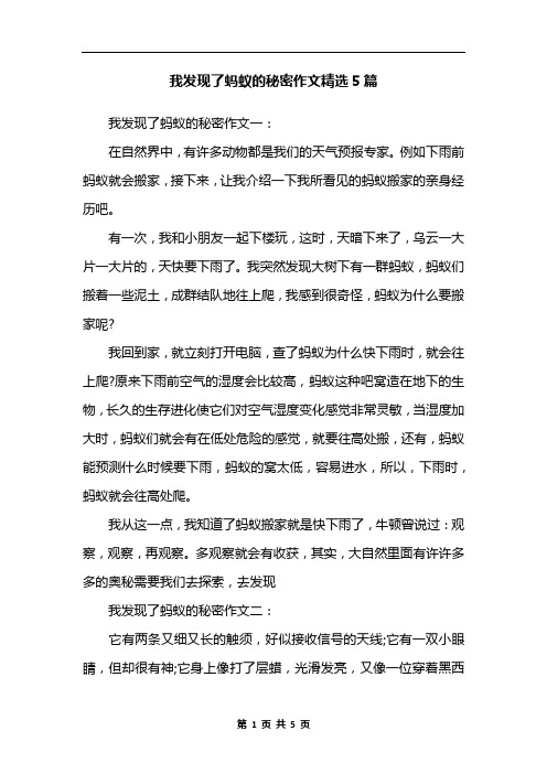 我发现了蚂蚁的秘密作文精选5篇