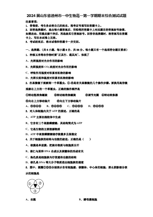 2024届山东省德州市一中生物高一第一学期期末综合测试试题含解析