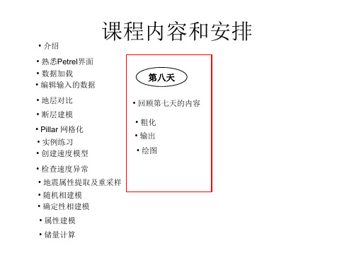 Petrel入门培训07-粗化_输出_绘图