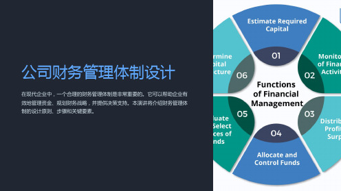 公司财务管理体制设计