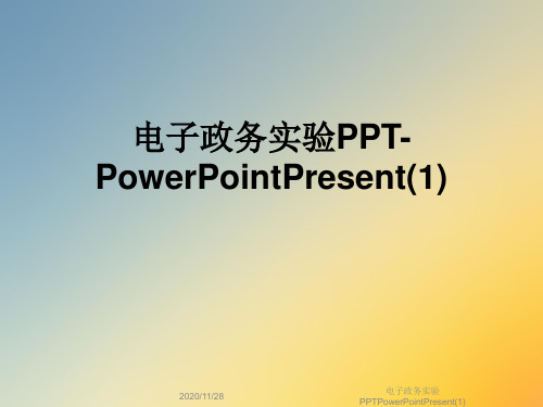 电子政务实验PPTPowerPointPresent(1)