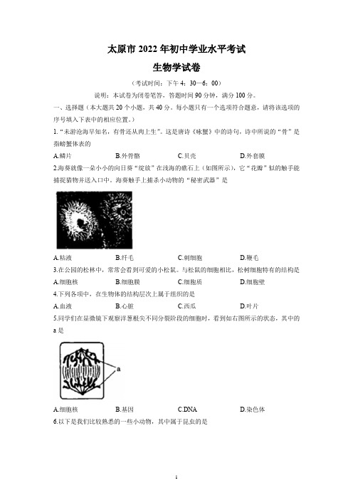 2022年山西省太原市学业水平测试生物试题及参考答案