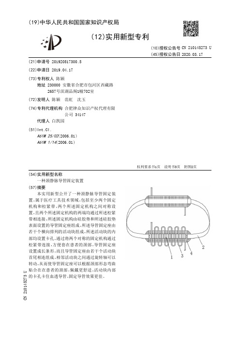 【CN210145273U】一种颈静脉导管固定装置【专利】