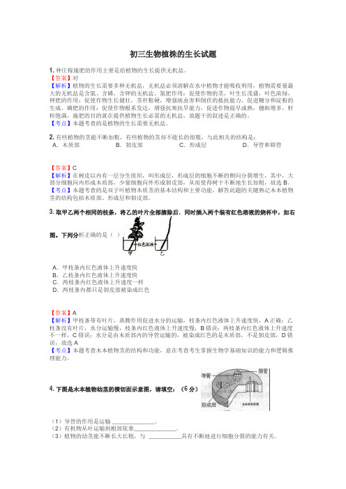 初三生物植株的生长试题
