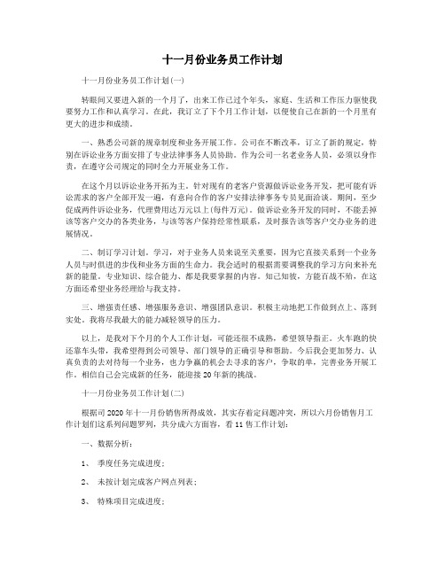 十一月份业务员工作计划