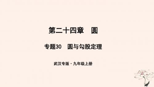 (武汉专版)九年级数学上册第二十四章圆专题30圆与勾股定理课件(新版)新人教版