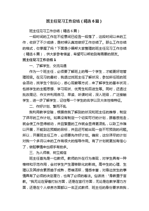 班主任见习工作总结（精选6篇）