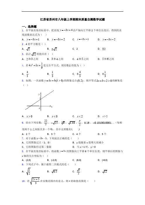 江苏省苏州市八年级上学期期末质量自测数学试题