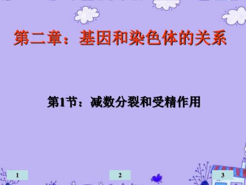 高中生物 2.1《减数分裂和受精作用》课件 新人教版必修2