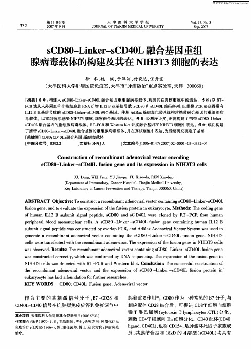 sCD80-Linker-sCD40L融合基因重组腺病毒载体的构建及其在NIH3T3细胞的表达