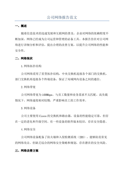 公司网络报告范文