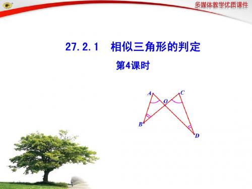 27.2.1 相似三角形的判定 第4课时