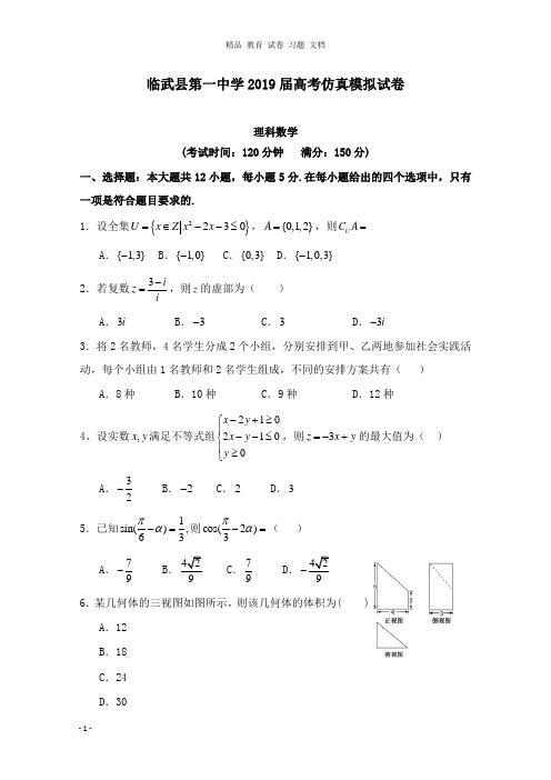 【精编文档】湖南省临武县第一中学2019届高三数学5月仿真模拟试卷理.doc