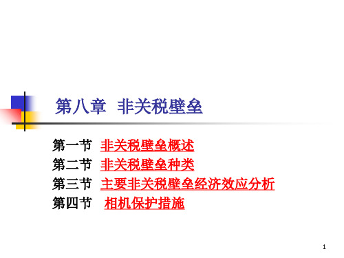 国际贸易(8非关税)