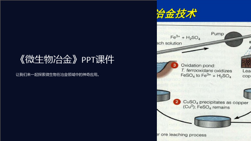 《微生物冶金》课件