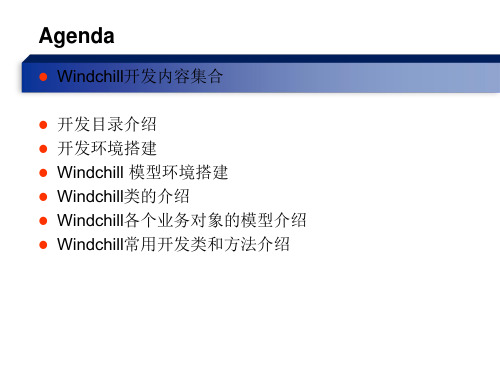 Windchill常用开发大全.ppt