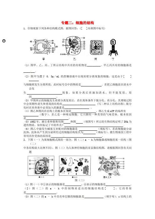 江苏省淮安中学高三生物总复习专题2