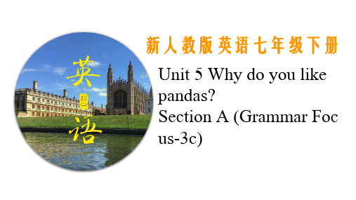 初中英语 七年级下册 Unit5 Why do you like pandas