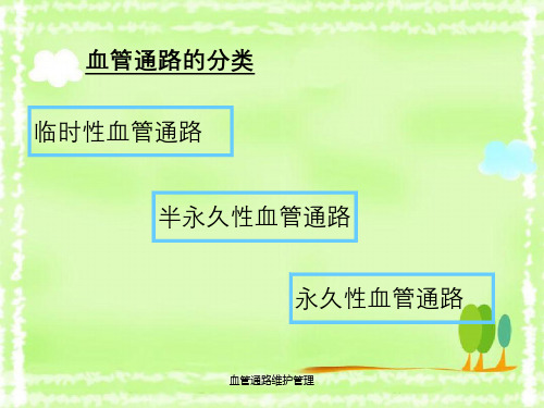 血管通路维护管理