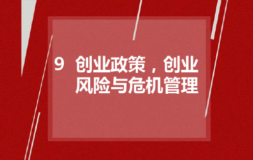20项目九创业政策,创业风险与危机管理