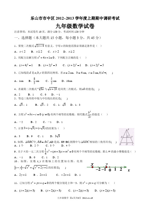 乐山市市中区2012~2013学年度上期期中调研考试