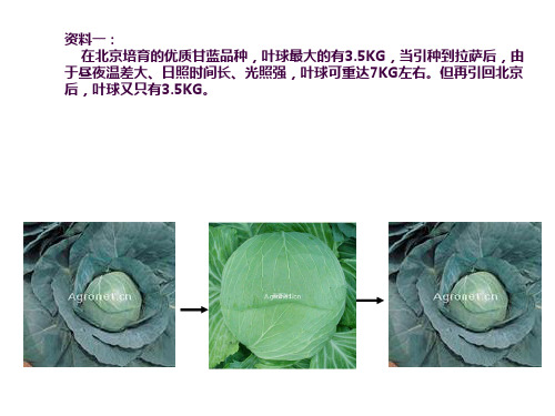 高中生物基因突变和基因重组最全最新ppt课件