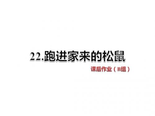 六年级上册语文课件-22.跑进家来的松鼠 课后作业(B组)-人教新课标