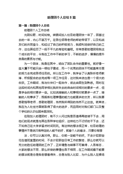 助理团个人总结5篇