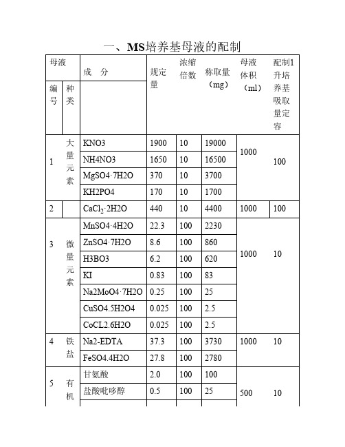 MS培养基及配制注意事项