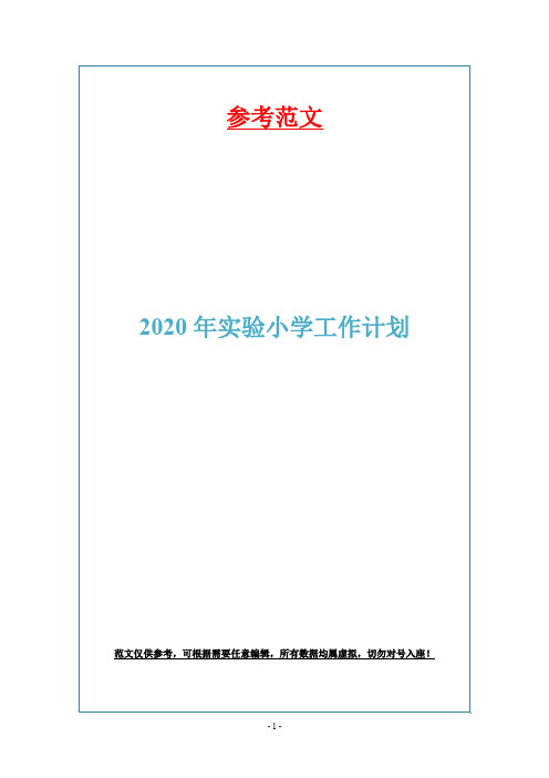 2020年实验小学工作计划