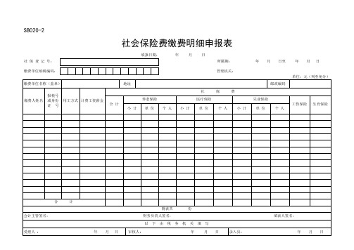 社会保险费缴费明细申报表