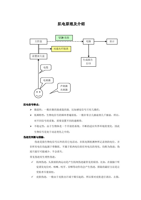 肌电原理及介绍