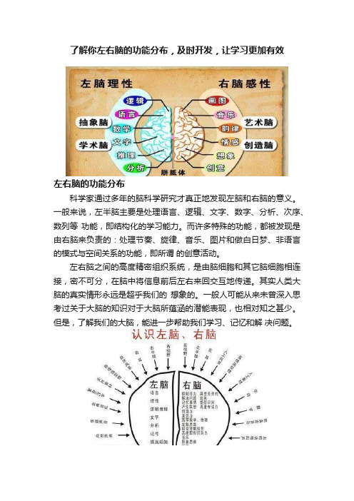 了解你左右脑的功能分布，及时开发，让学习更加有效