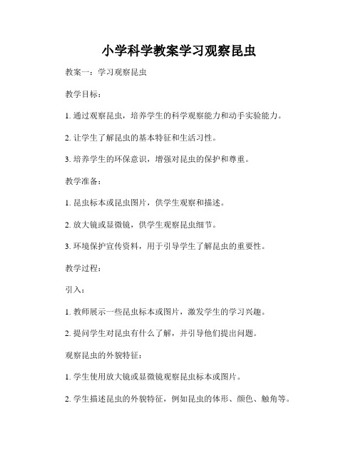 小学科学教案学习观察昆虫