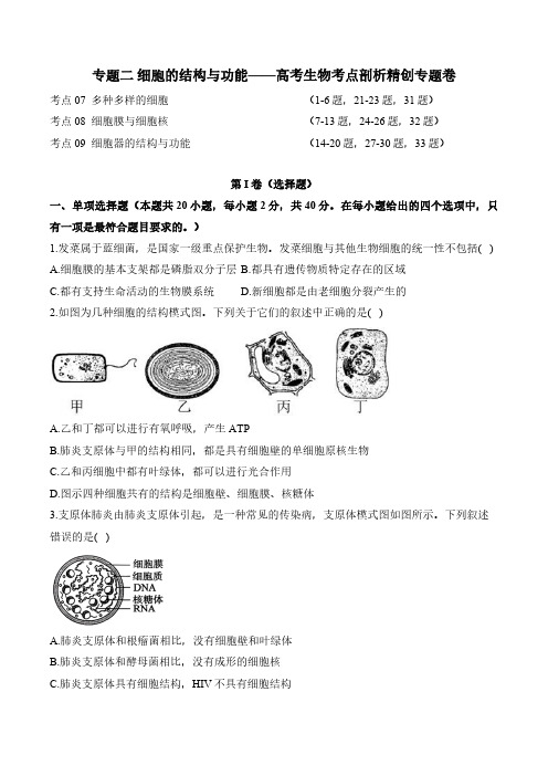 专题二 细胞的结构与功能(有解析)——2025届高考生物考点剖析