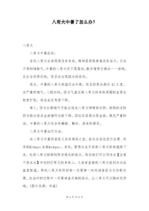 八哥犬中暑了怎么办?