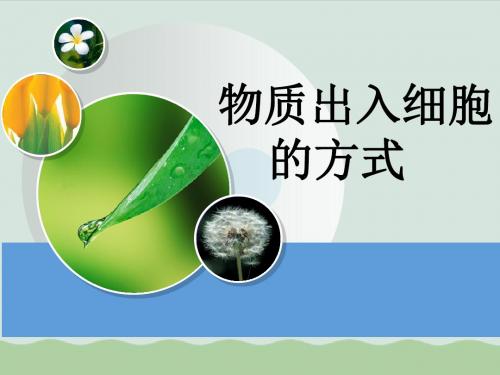 物质出入细胞的方式 教学课件