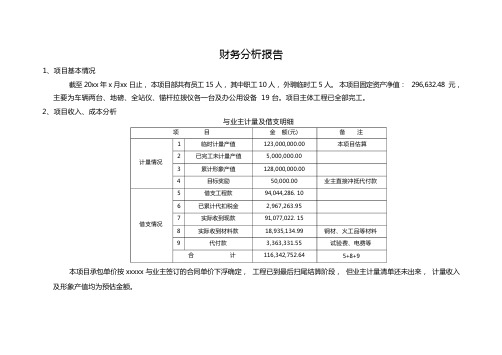 项目财务分析(报告精选)