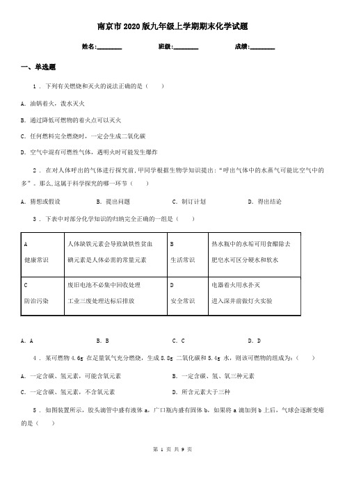 南京市2020版九年级上学期期末化学试题(模拟)