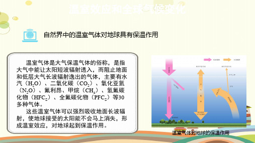 【知识解析】温室效应和全球气候变化-完整版课件