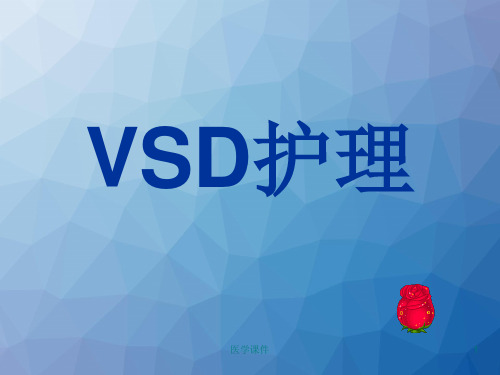 VSD护理  PPT课件