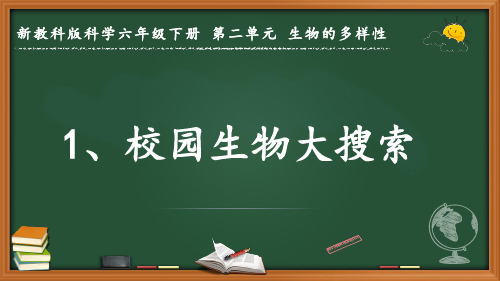 新教科版科学六年级下册第二单元 生物的多样性《校园生物大搜索》优质课件