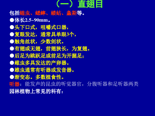 实验三分类及观察直、等、半、同翅目12