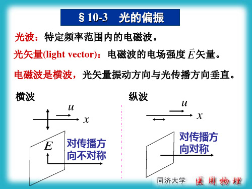 偏振的图画动画讲解