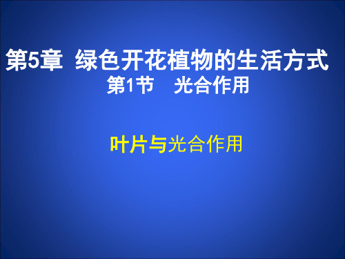 北师大版七年级生物上册3.5.1光合作用(第4课时叶片与光合作用)(17张PPT)