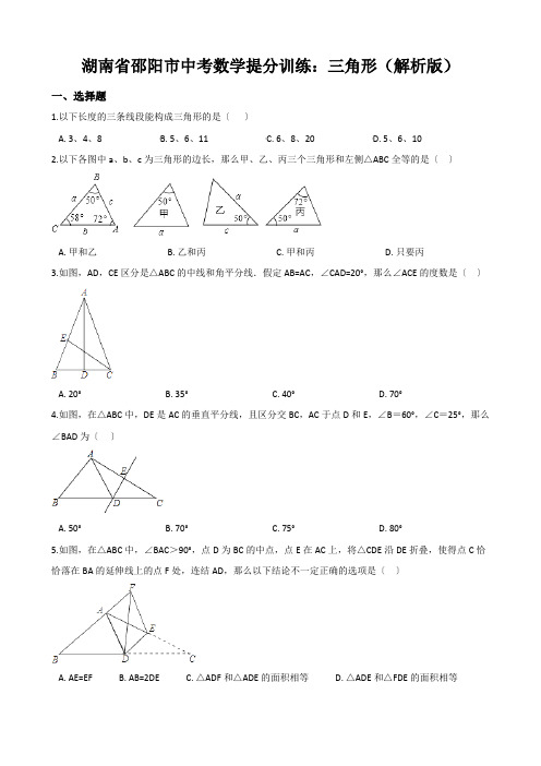 湖南省邵阳市中考数学提分训练：三角形(解析版)